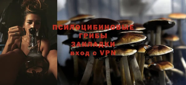 молекула духа Алексин