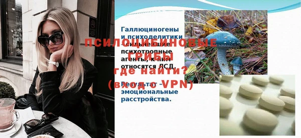 молекула духа Алексин