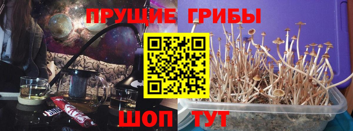 Галлюциногенные грибы прущие грибы Дзержинский